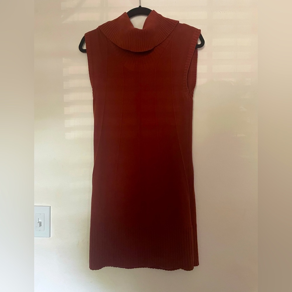 Rust colored sweater dress.